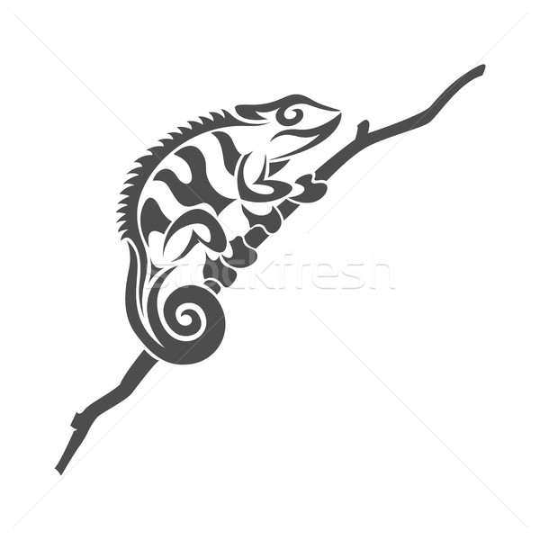 Chameleon zdjęcie czarno białe plemiennych stylu biały Zdjęcia stock © shai_halud