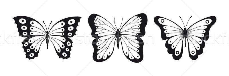 Сток-фото: набор · бабочка · черно · белые · изолированный · белый · иконки