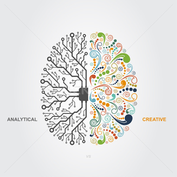 Beyin doğru vs yaratıcılık düşünme düşünmek Stok fotoğraf © shai_halud