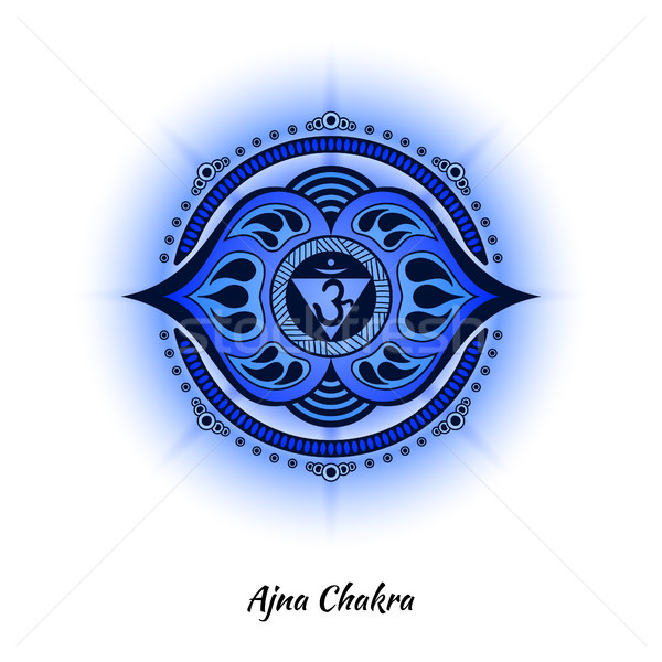 Chakra ontwerp symbool gebruikt hindoeïsme boeddhisme Stockfoto © shai_halud