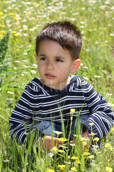 Erkek çocuk yeşil alan bebek çim Stok fotoğraf © shamtor