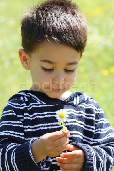 Portret masculin copil margaretă copil iarbă Imagine de stoc © shamtor