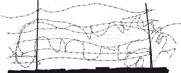 barbed wire Stock photo © sharpner