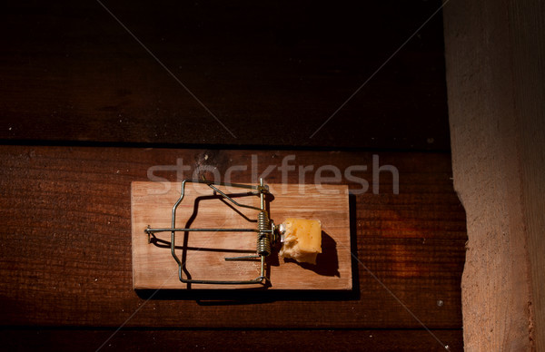 Stock photo: charged mousetrap cheese