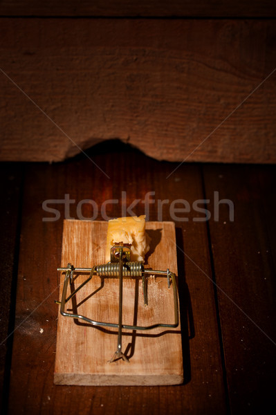 charged mousetrap cheese Stock photo © sharpner