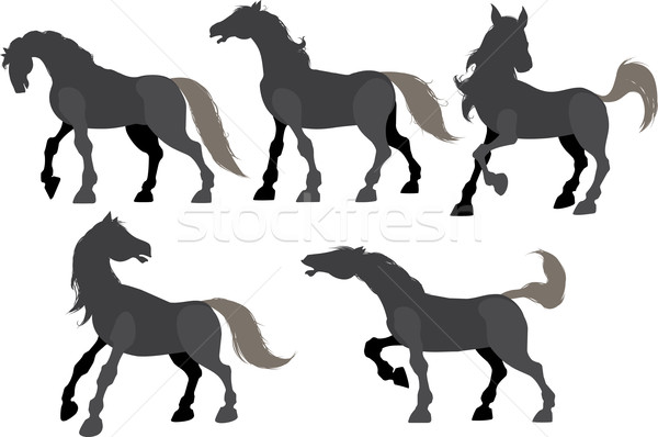Five silhouette frolicking horses Stock photo © sharpner