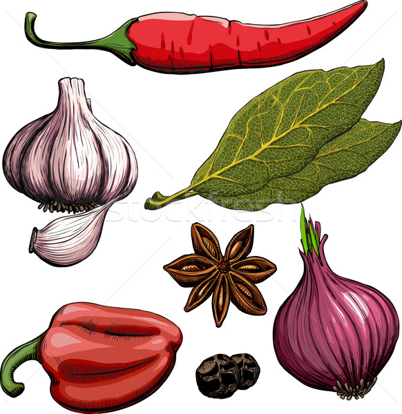 Spice. Onion, garlic, pepper, bay leaf, hot pepper Stock photo © sharpner