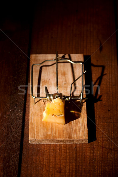 charged mousetrap cheese Stock photo © sharpner