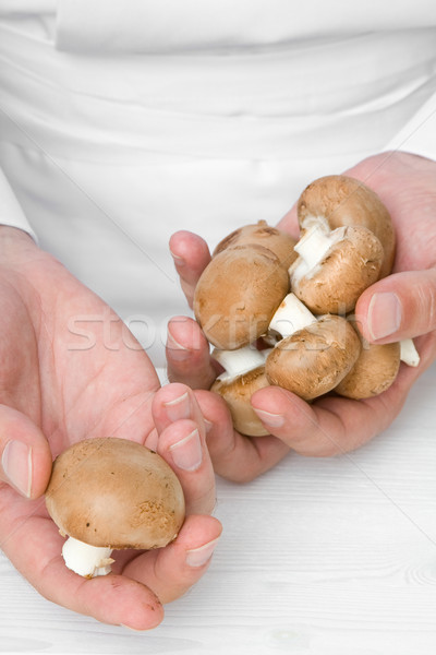 Chef with mushrooms Stock photo © ShawnHempel