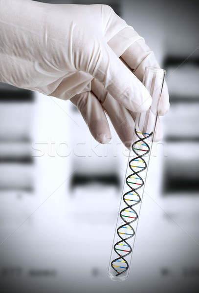 Foto stock: Dna · pesquisa · mão · test · tube · modelo