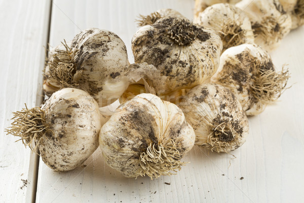Braided garlic from harvest on table Stock photo © ShawnHempel