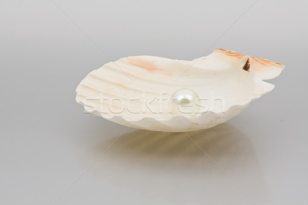 Foto stock: Perla · mar · Shell · blanco · plata