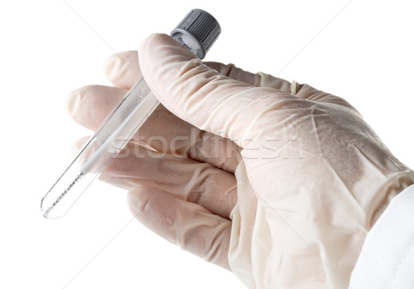 Paternity test - doctor holding buccal swab in test tube Stock photo © ShawnHempel