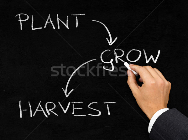 Business startup process written on blackboard by businessman Stock photo © ShawnHempel