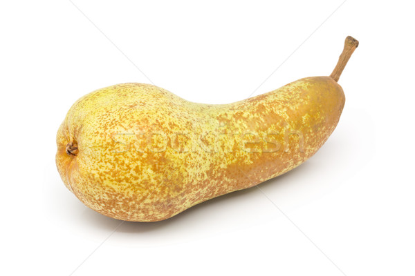Single whole, uncut 'abate fetel' pear Stock photo © ShawnHempel