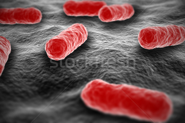 Foto stock: Bactéria · microscópico · ver · superfície · vermelho