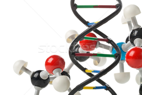 Chemical molecule model and DNA structure model over white backg Stock photo © ShawnHempel
