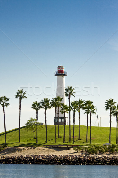 Leuchtturm Palmen Long Beach Kalifornien USA Wasser Stock foto © ShawnHempel