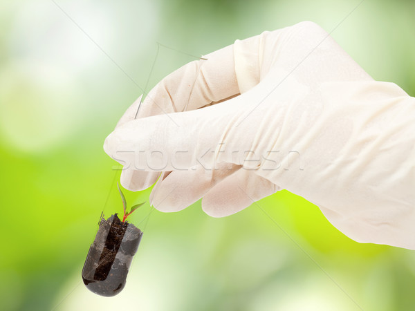 Biotechnológia kutatás kéz tart kémcső növény Stock fotó © ShawnHempel