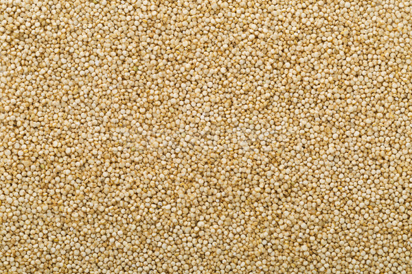 Raw, whole, unprocessed quinoa seed background texture Stock photo © ShawnHempel