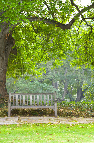Csendes pillanat park pad alatt gyönyörű Stock fotó © ShawnHempel