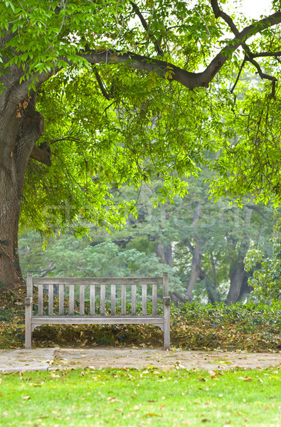 Stock foto: Ruhig · Moment · Park · Bank · unterhalb · schönen