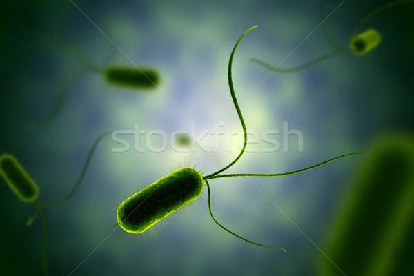Green bacterium with flagella microscopic view in fluid  Stock photo © ShawnHempel