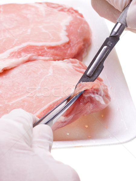 Forscher Aufnahme Fleisch Probe Labor Stück Stock foto © ShawnHempel