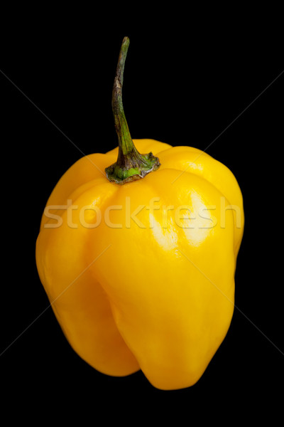 Habanero chili Stock photo © ShawnHempel