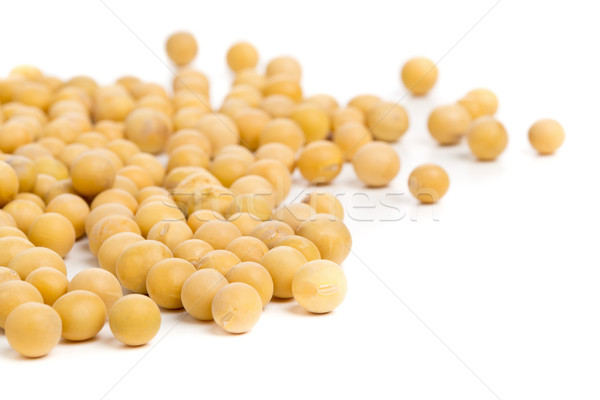Dry soybeans Stock photo © ShawnHempel