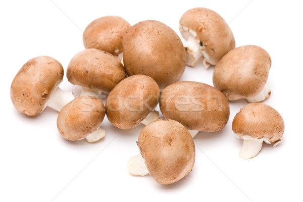 Brown mushrooms Stock photo © ShawnHempel