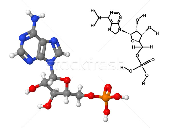 Vitamin B8 molecule with chemical formula Stock photo © ShawnHempel