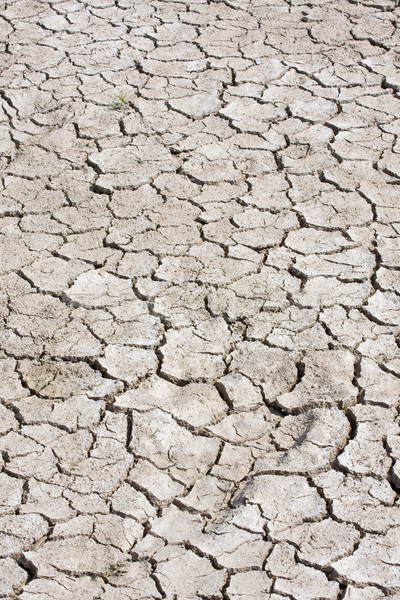 Dry soil background Stock photo © ShawnHempel