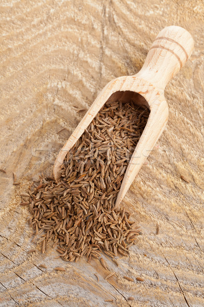 Caraway seeds in scoop Stock photo © ShawnHempel