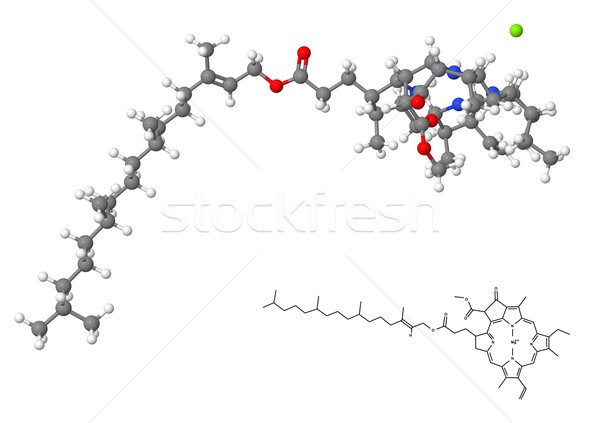 Clorofilla chimica formula isolato bianco modello Foto d'archivio © ShawnHempel