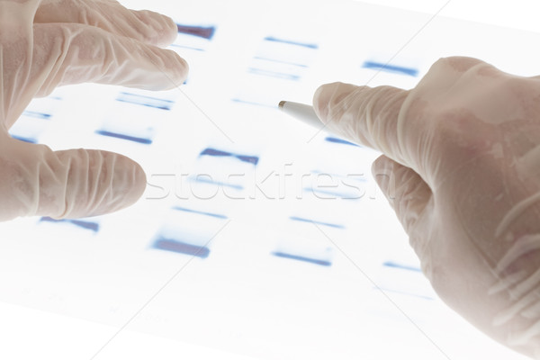 ADN transparencia investigador examinar Slide manos Foto stock © ShawnHempel