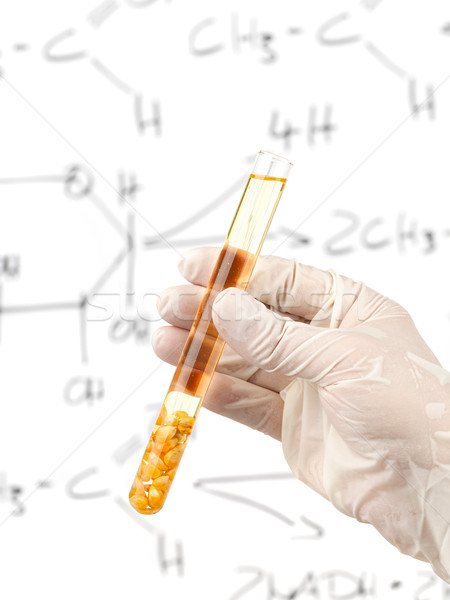 Biofuel research Stock photo © ShawnHempel