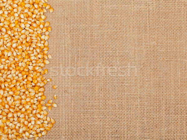 Corn kernels Stock photo © ShawnHempel