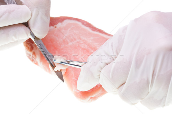 Stock photo: Researcher taking meat sample