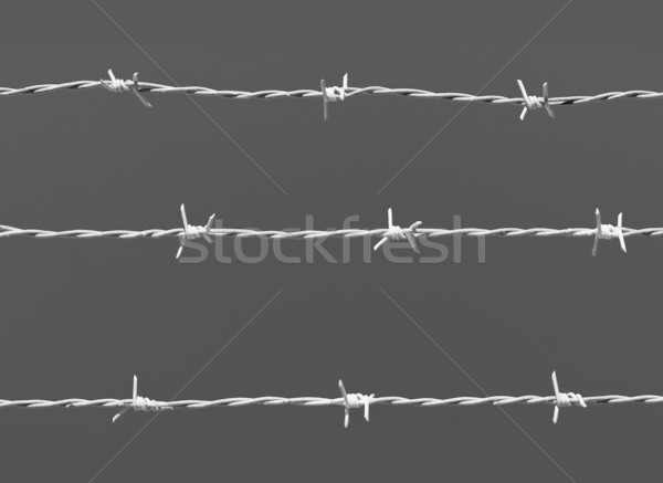 Barb wire Stock photo © ShawnHempel