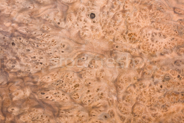 Root wood texture Stock photo © ShawnHempel
