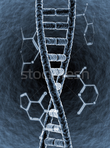 Dna chemischen Formel abstrakten Technologie Medizin Stock foto © ShawnHempel