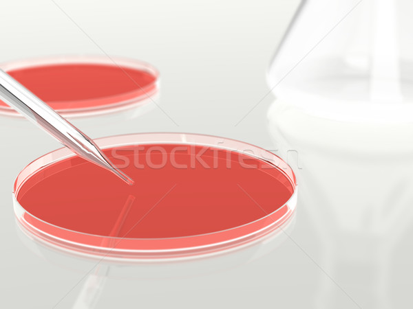 Petri dishes Stock photo © ShawnHempel