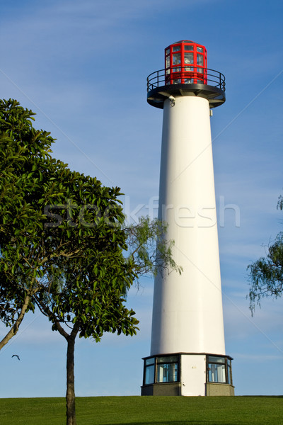 Stock foto: Leuchtturm · Palmen · Long · Beach · Kalifornien · USA · Wasser
