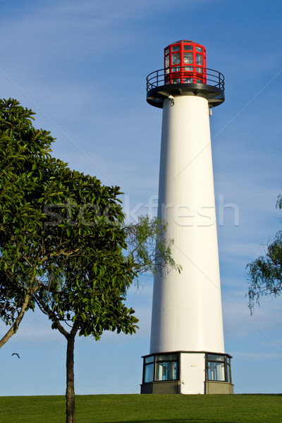 Lighthouse Stock photo © ShawnHempel