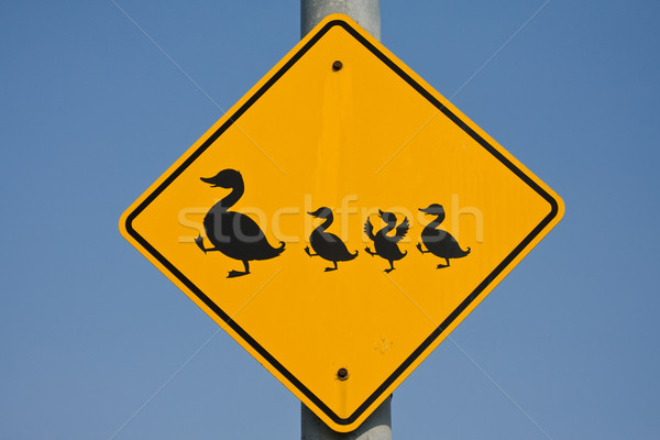 Eend verkeersbord voorzichtig straat groep verkeer Stockfoto © ShawnHempel