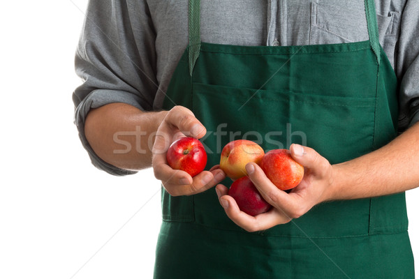 Farmer holding fresh harvested nectarines Stock photo © ShawnHempel