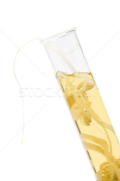 Soja fasoli probówki oleju Zdjęcia stock © ShawnHempel