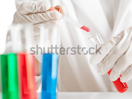 Checking blood sample Stock photo © ShawnHempel