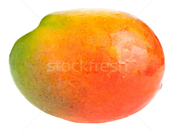 Mango isolated on white Stock photo © ShawnHempel